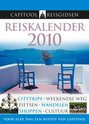 Omslag van 2010