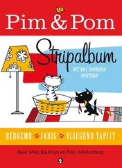 Omslag van Pim & Pom