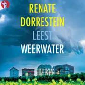 Omslag van Weerwater