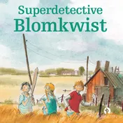Omslag van Superdetective Blomkwist