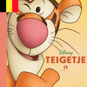 Omslag van Teigetje