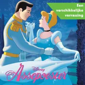 Omslag van Assepoester - Een verschrikkelijke verrassing