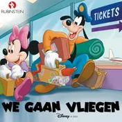 Omslag van We gaan vliegen