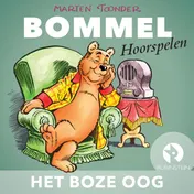 Omslag van Het boze oog