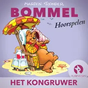 Omslag van Het kongruwer