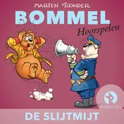 Omslag van De slijtmijt