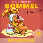 Omslag van De aamnaak