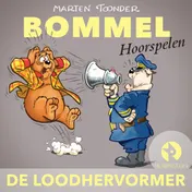 Omslag van De loodhervormer
