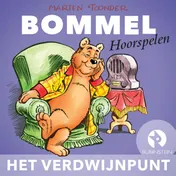 Omslag van Het verdwijnpunt