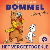 Omslag van Het vergeetboekje