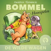 Omslag van De wilde wagen
