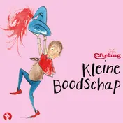 Omslag van Kleine Boodschap