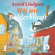 Omslag van Wij uit Bolderburen