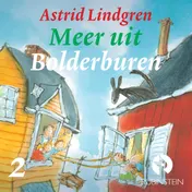 Omslag van Meer uit Bolderburen