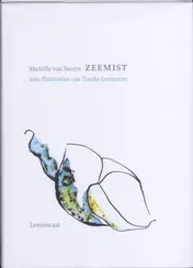 Omslag van Zeemist