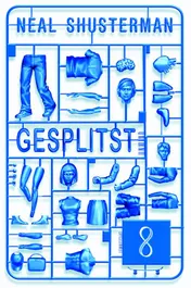Omslag van Gesplitst