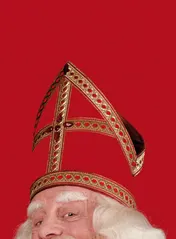 Omslag van Sinterklaas bestaat!
