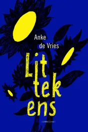 Omslag van Littekens