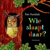 Omslag van Wie slaapt daar?