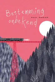 Omslag van Bestemming onbekend