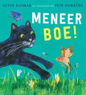 Omslag van Meneer boe!