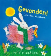Omslag van Gevonden!