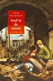 Omslag van Stad in de storm