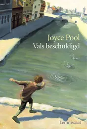 Omslag van Vals beschuldigd