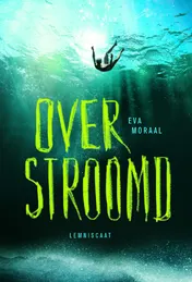 Omslag van Overstroomd