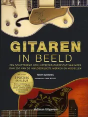 Omslag van Gitaren in beeld