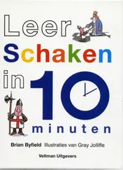 Omslag van Leer schaken in 10 minuten