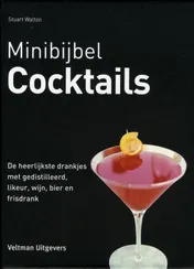 Omslag van Cocktails