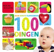 Omslag van 100 dingen