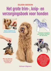 Omslag van Het grote trim-, knip- en verzorgingsboek voor honden