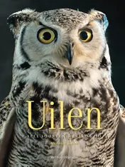 Omslag van Uilen
