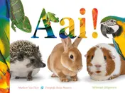 Omslag van Aai!