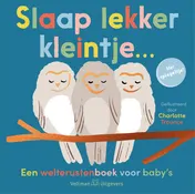Omslag van Slaap lekker kleintje...