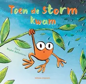 Omslag van Toen de storm kwam