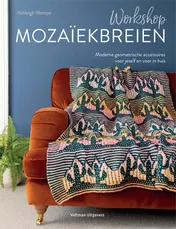 Omslag van Workshop mozaïekbreien