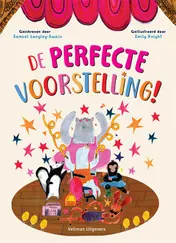 Omslag van De perfecte voorstelling!
