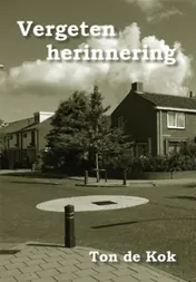 Omslag van Vergeten herinnering