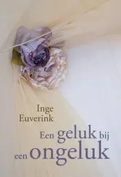 Omslag van Een geluk bij een ongeluk