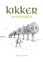 Omslag van Kikkeravonturen