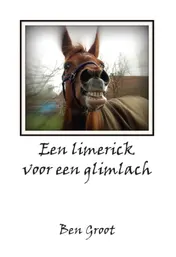 Omslag van Een limerick voor een glimlach