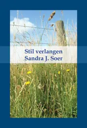 Omslag van Stil verlangen