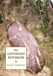 Omslag van Het gevoelige rotsblok