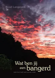 Omslag van Wat ben jij een bangerd