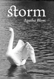 Omslag van Storm