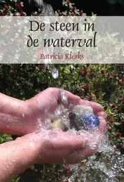 Omslag van De steen in de waterval