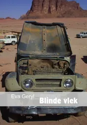 Omslag van Blinde vlek